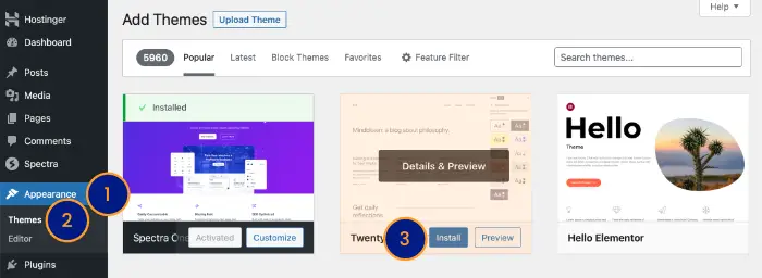 WordPress Appearance section